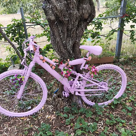 Koula 2 - Korina شقة *