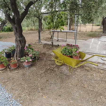 Koula 2 - Korina Apartment