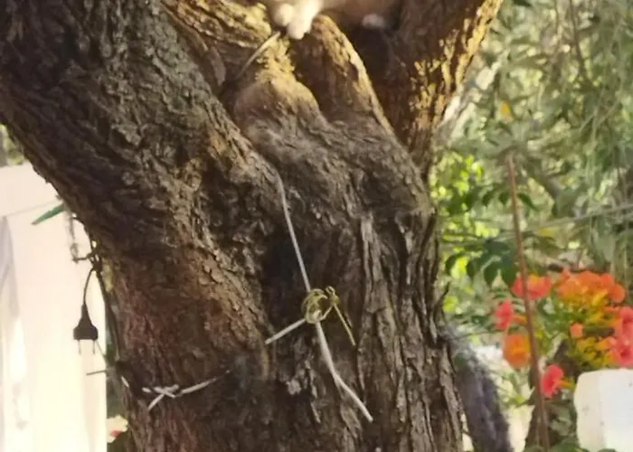 Koula 2 - Korina アパート *