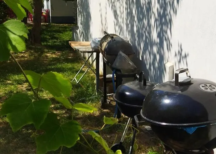 Koula 2 - Korina * ポトス