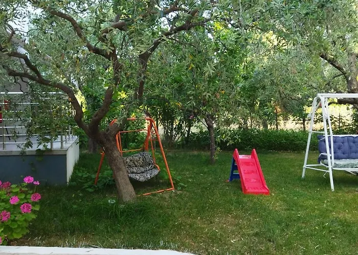 Koula 2 - Korina ポトス