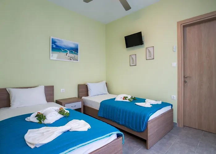 Koula 2 - Korina ポトス