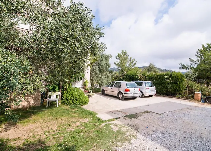 Koula 2 - Korina * ポトス